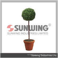 Sunwing vente chaude préservé boules de buis buxus boule de buis